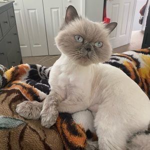 Meet your Posher, Sergio